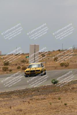 media/May-03-2025-Lucky Dog Racing (Sat) [[206de64b9d]]/Turn 6 (150pm-230pm)/